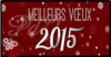 Bonne ann&eacute;e 2015